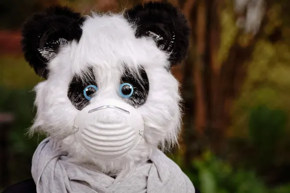 אופה 88888888 קזינו תמיכה